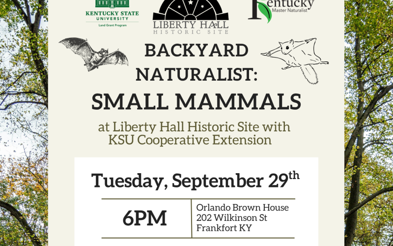backyard naturalist mammals