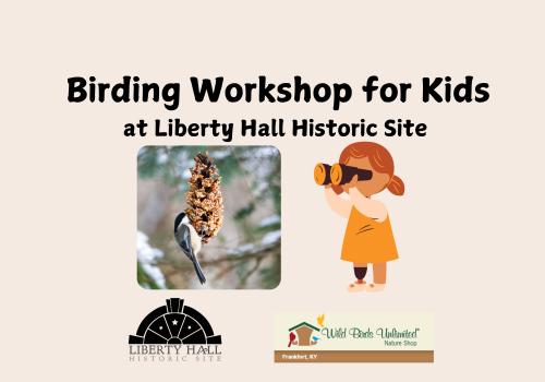 Bird workshop