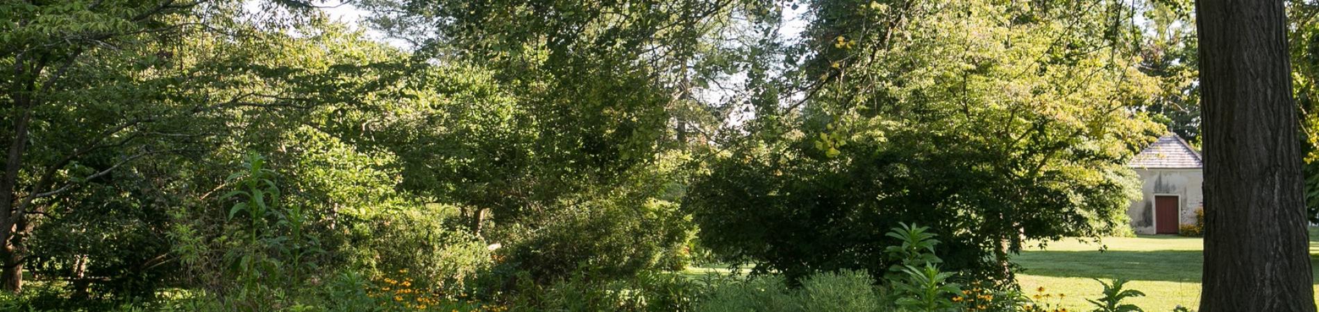 gardens