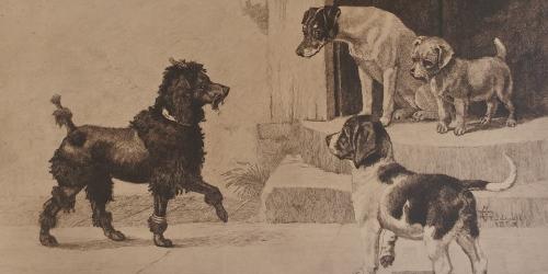 Dog Print